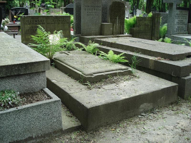 Zdjęcie grobu Seweryn Januszewski (1)