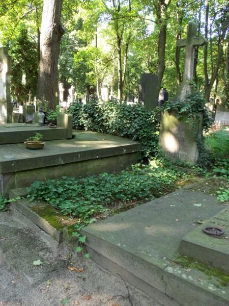 Zdjęcie grobu Narcyza Ceysinger (1)