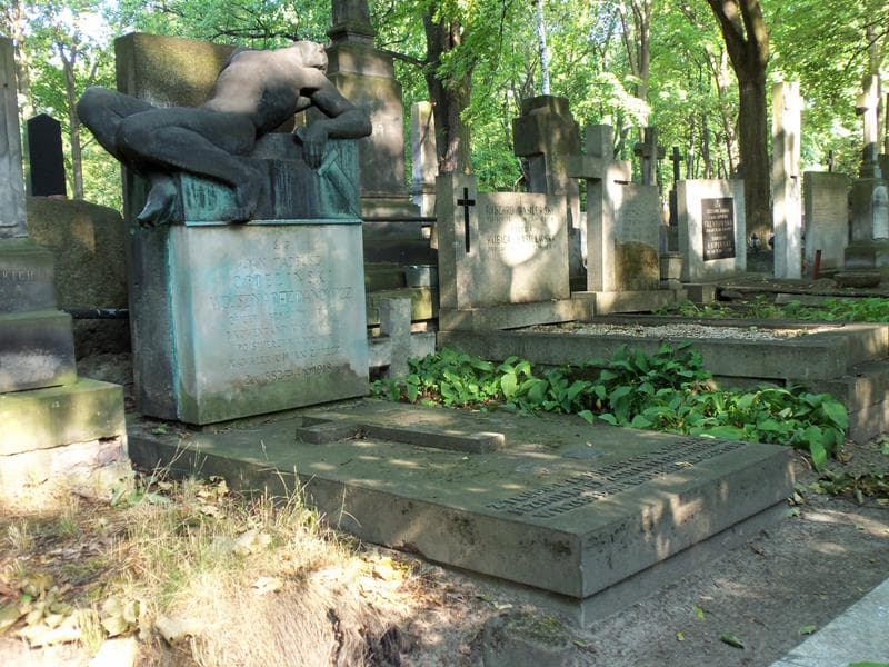 Zdjęcie grobu Jan Tadeusz Opieliński Wojsznar-Zdanowicz (1)
