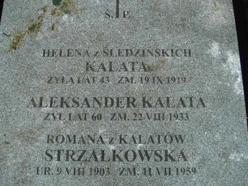 Zdjęcie grobu Romana Strzałkowska (1)