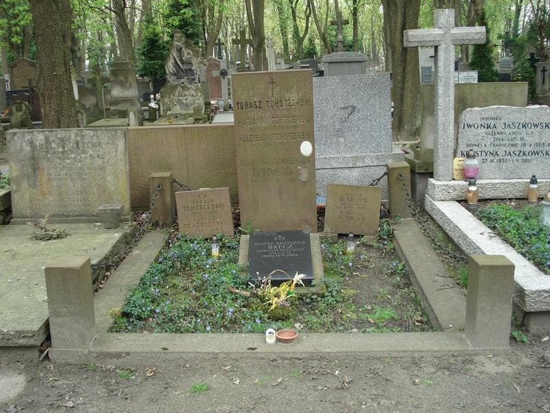 Zdjęcie grobu: Wacław Tchórzewski
