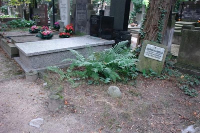 Zdjęcie grobu Jakub Maciej Humięcki (1)