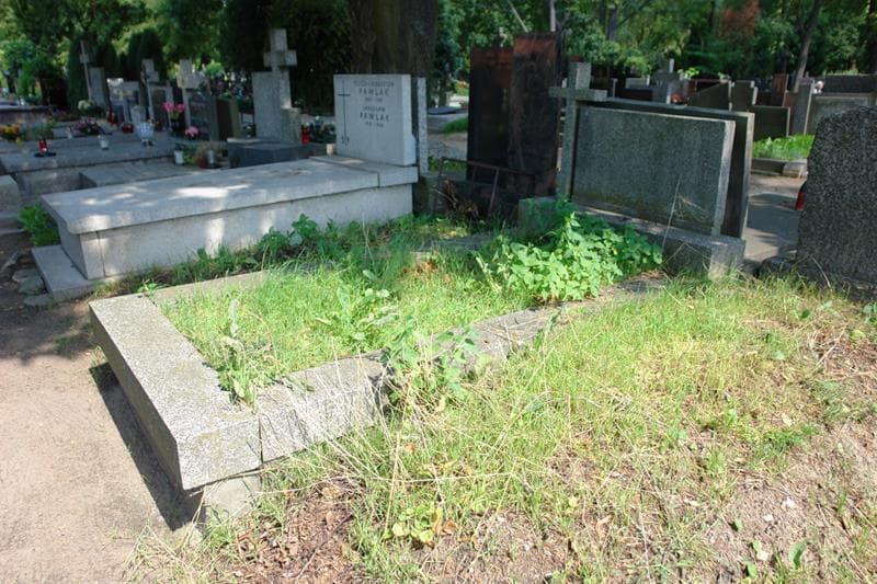 Zdjęcie grobu: Stanisława Tomana