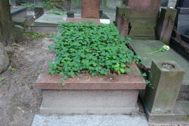 Zdjęcie grobu: Maciek Iwanowski