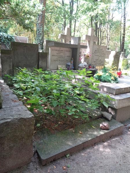 Zdjęcie grobu: Eugeniusz Szelągowski