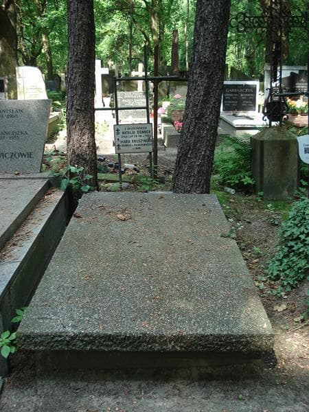 Zdjęcie grobu: Bohdan Donner