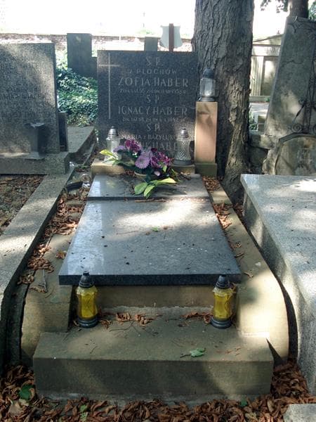 Zdjęcie grobu Zofia Haber (1)