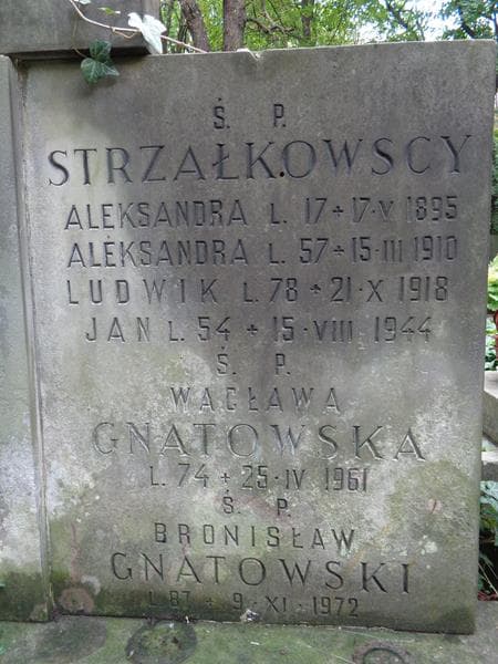 Zdjęcie grobu Ludwik Strzałkowski (2)