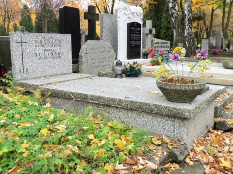 Zdjęcie grobu Tadeusz Drexler (1)