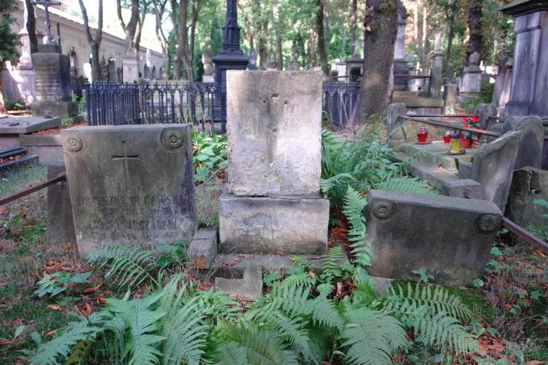 Zdjęcie grobu Marja Guczalska (2)