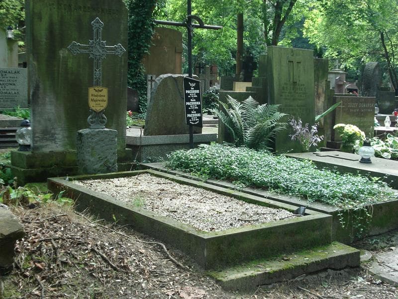 Zdjęcie grobu Władysława Majewska (1)