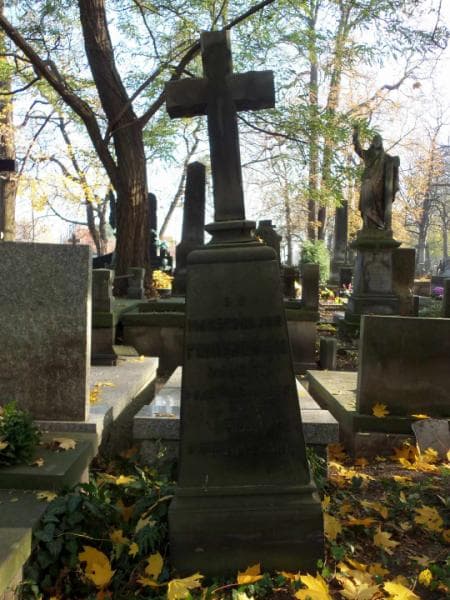Zdjęcie grobu Maksymiljan Pomianowski (1)