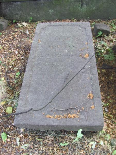 Zdjęcie grobu Adolfina Krzyczkowska (2)