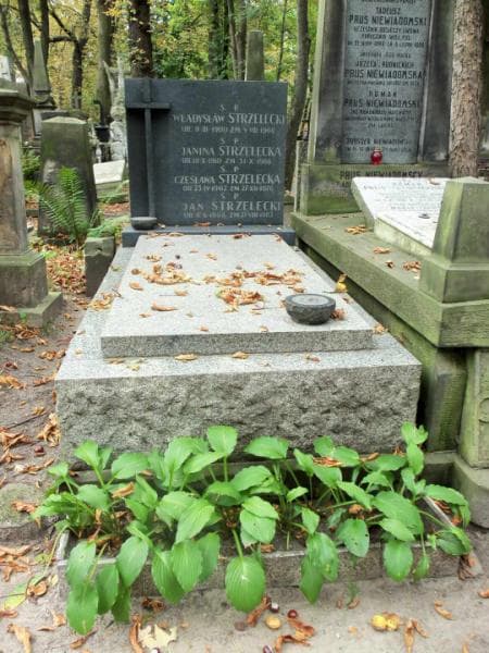 Zdjęcie grobu: Czesława Strzelecka