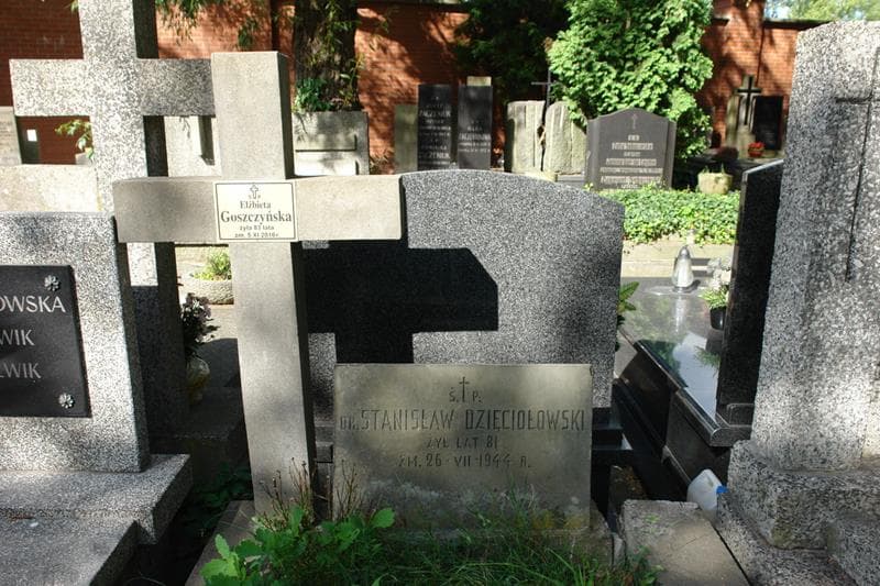 Zdjęcie grobu Stanisław Dzięciołowski (2)