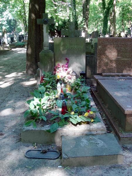 Zdjęcie grobu: Henryk Drążewski
