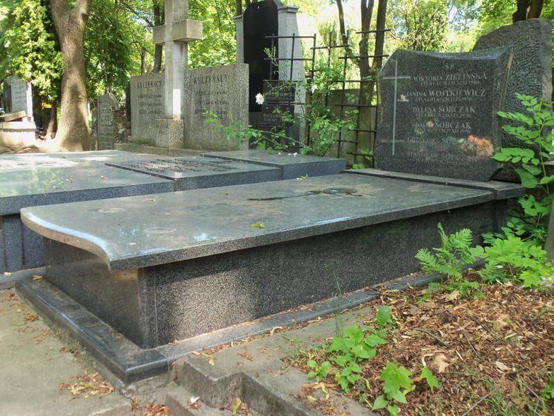 Zdjęcie grobu Janina Wojtkiewicz (1)