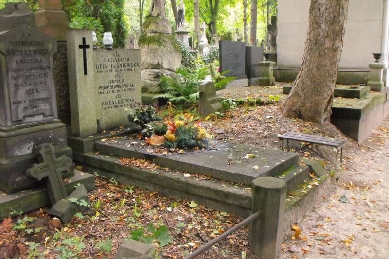 Zdjęcie grobu Zofia Leśniewska (1)