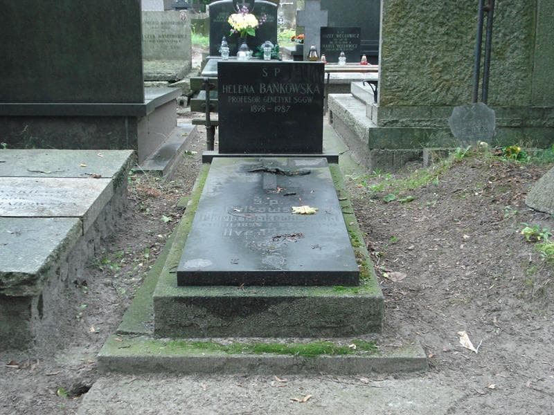 Zdjęcie grobu: Maria Cimkowiczowa