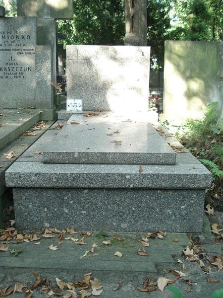 Zdjęcie grobu: Stefan Czyż