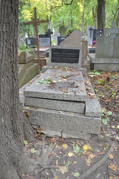 Zdjęcie grobu Wacław Januszkiewicz (1)