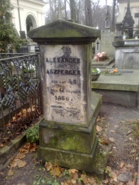 Zdjęcie grobu Alexander Aszperger (1)