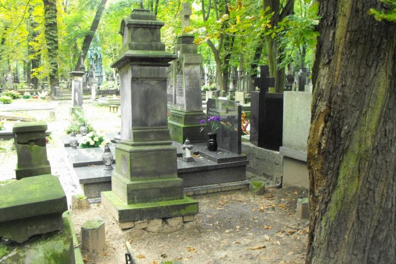 Zdjęcie grobu Stanisław Tomaszewski (2)