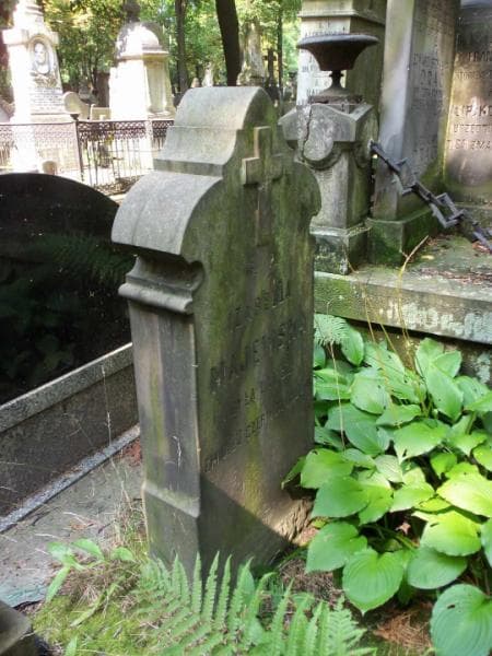 Zdjęcie grobu Izabella Majewska (2)