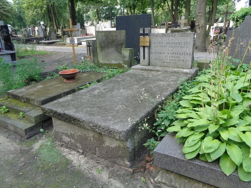 Zdjęcie grobu: Maria Nehrebecka - Falkiewicz