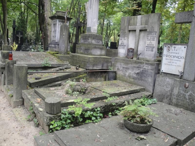 Zdjęcie grobu Jadwiga Próchnicka (1)