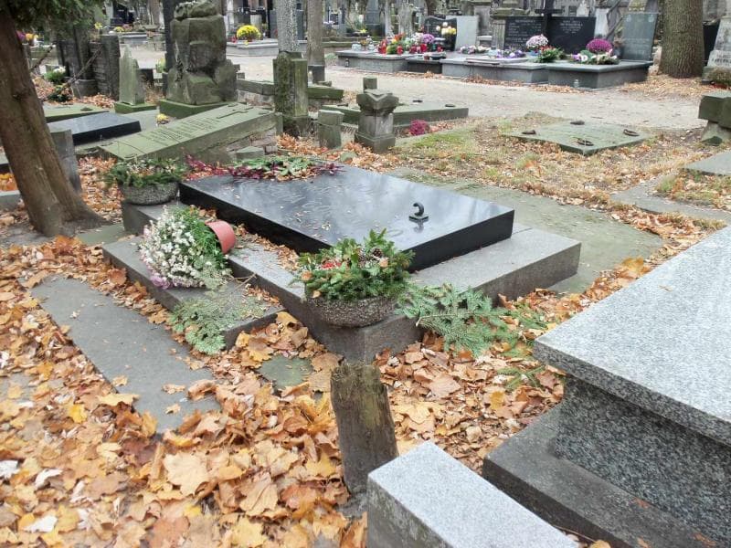 Zdjęcie grobu Wojciech Górski (1)