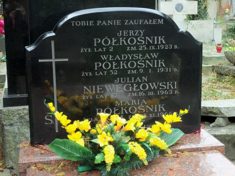 Zdjęcie grobu Julian Niewęgłowski (2)