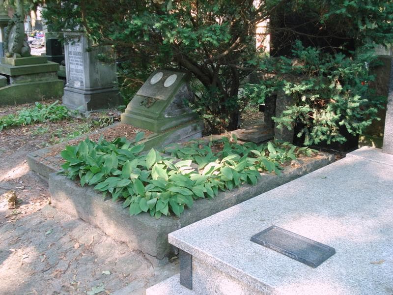 Zdjęcie grobu: Witold Plapis