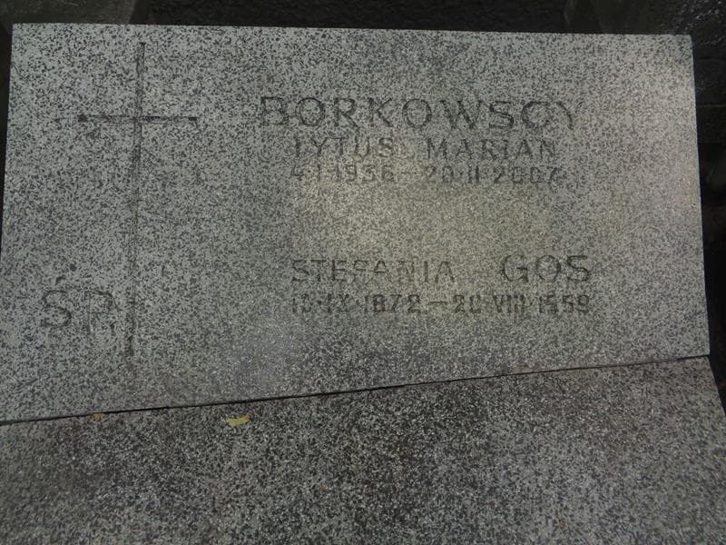 Zdjęcie grobu Stefania Gos (2)