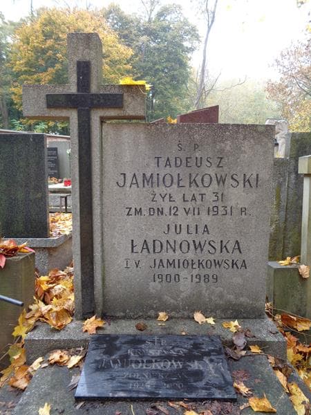Zdjęcie grobu Tadeusz Jamiołkowski (2)