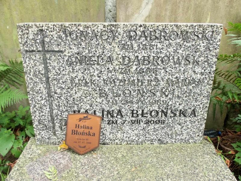 Zdjęcie grobu Ignacy Dąbrowski (1)
