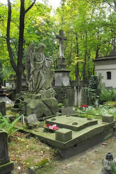 Zdjęcie grobu Franciszek Walczyński (1)