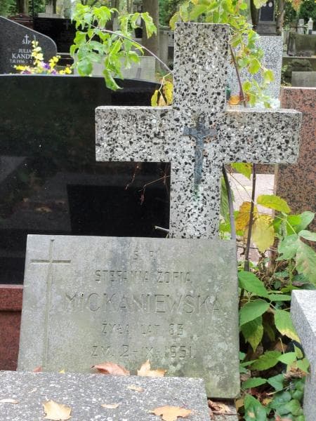 Zdjęcie grobu Stefania Zofia Mickaniewska (2)