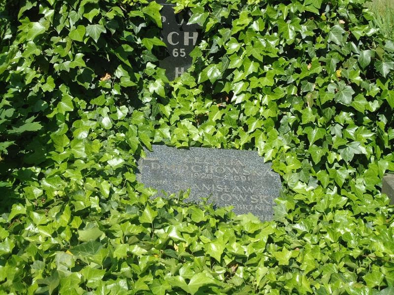Zdjęcie grobu Stanisław Dmochowski (2)