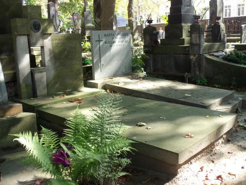 Zdjęcie grobu Henryk Czerwiński (1)