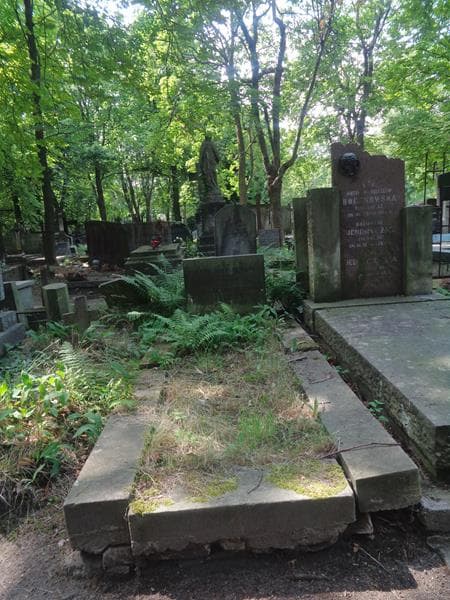 Zdjęcie grobu Piotr Maliszewski (1)