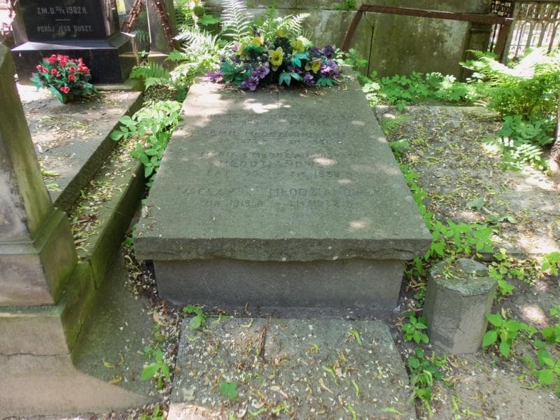 Zdjęcie grobu: Emil Młodzianowski