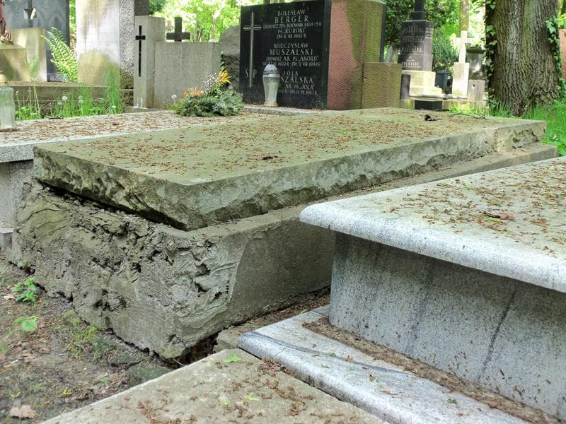 Zdjęcie grobu Feliks Gołaszewski (1)