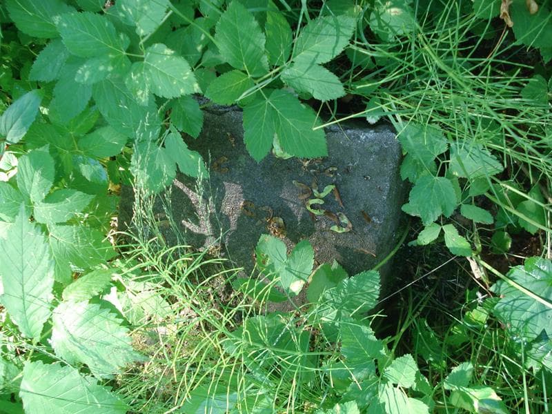 Zdjęcie grobu Pole Grobowe (1)