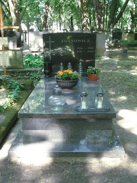 Zdjęcie grobu: Stanisław Zdanowicz
