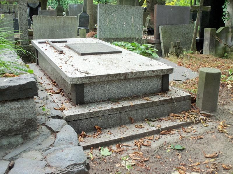 Zdjęcie grobu Mieczysław Bibrowski (1)