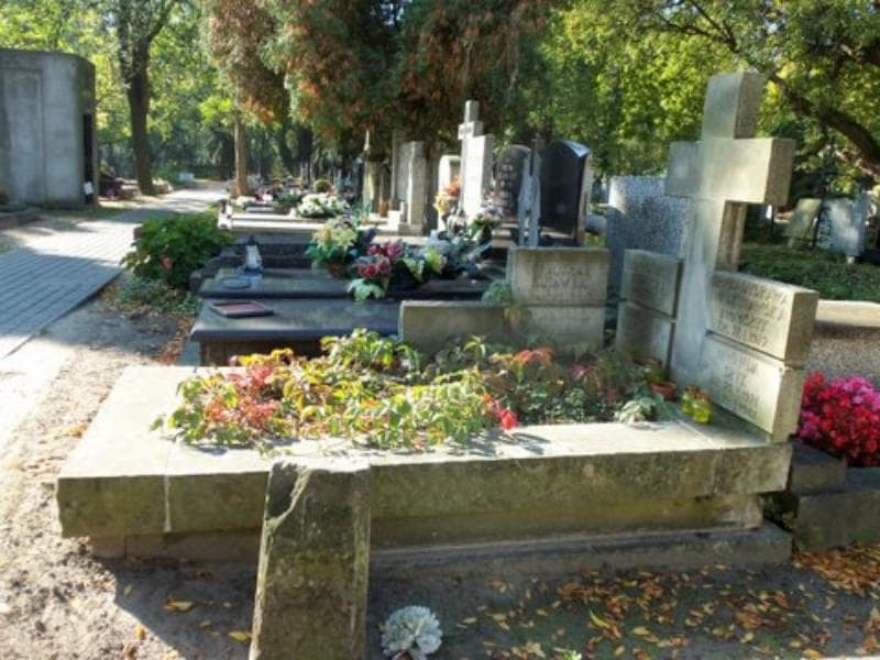 Zdjęcie grobu Wanda Słyk (1)
