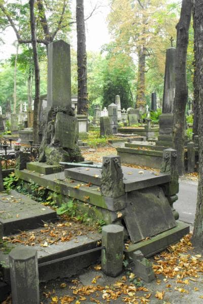Zdjęcie grobu Helena Pulczyńska (1)