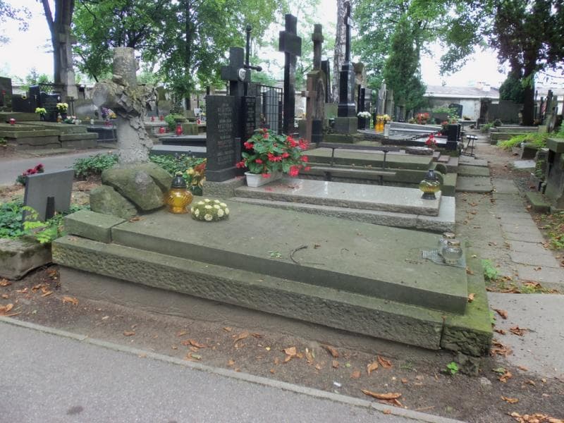 Zdjęcie grobu Teofil Hemering (1)