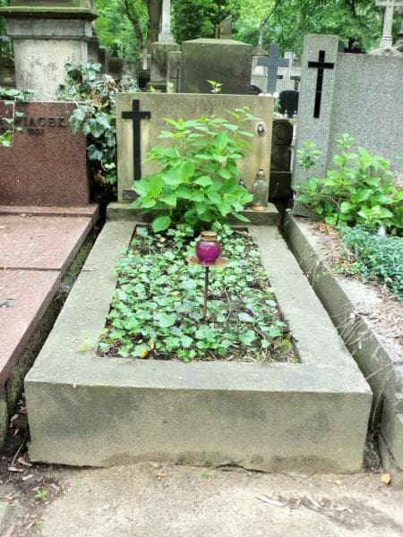 Zdjęcie grobu: Józef Banatkowicz